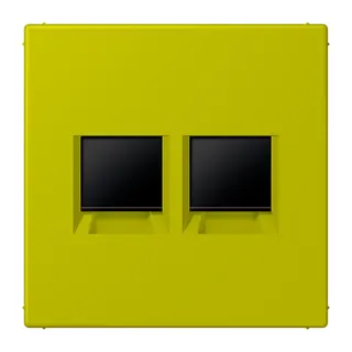 Jung Abdeckung (gerastet) für Modular-Jack-Steckbuchsen 2fach, Serie LS, vert olive vif LC1969-2WE249