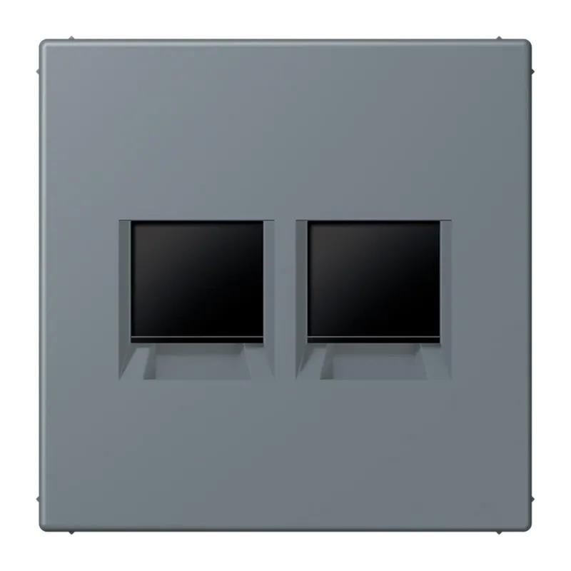 Jung Abdeckung (gerastet) für Modular-Jack-Steckbuchsen 2fach, Serie LS, gris 59 LC1969-2WE251