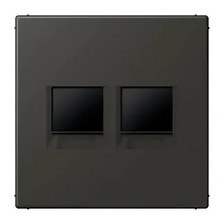 Jung Abdeckung (gerastet) für Modular-Jack-Steckbuchsen 2fach, Serie LS, ombre naturelle 59 LC1969-2WE259