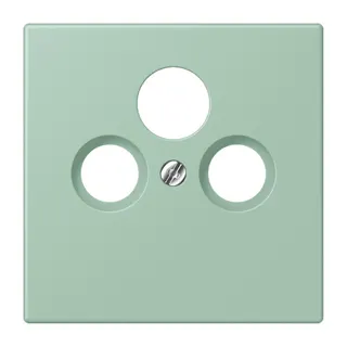 Jung Abdeckung für Universal-Sat/BK-Dosen, Thermoplast lackiert, Serie LS, vert anglais clair LC990SAT217