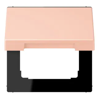 Jung Klappdeckel mit Rückstellfeder, Thermoplast lackiert, Serie LS, l'ocre rouge clair LC990BFKL234