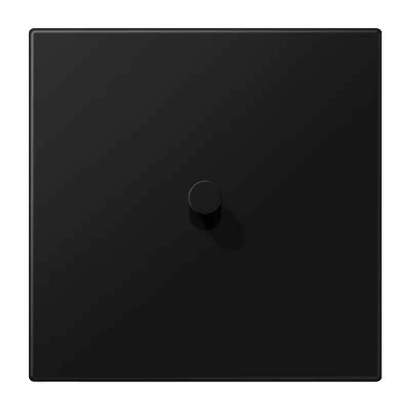 Jung Abdeckung mit Kipphebel, Kegel, 1fach, 1 Kipphebel, Serie LS 1912, graphitschwarz matt (lackiertes Aluminium) AL12-0SWMK08