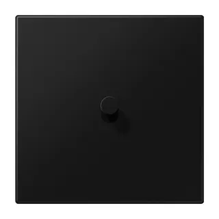 Jung Abdeckung mit Kipphebel, Kegel, 1fach, 1 Kipphebel, Serie LS 1912, graphitschwarz matt (lackiertes Aluminium) AL12-0SWMK08