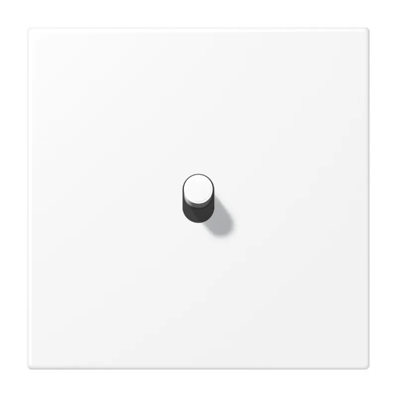 Jung Abdeckung mit Kipphebel, Zylinder, 1fach, 1 Kipphebel, Serie LS 1912, schneeweiß matt (lackiertes Aluminium) AL12-0WWMR07
