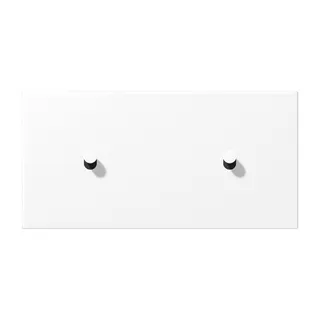 Jung Abdeckung mit Kipphebel, Kegel, 2fach, 2 x 1 Kipphebel, waagerecht, Serie LS 1912, schneeweiß matt (lackiertes Aluminium) AL12-200WWMK07