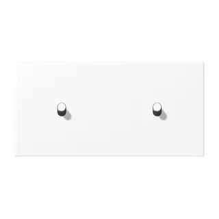 Jung Abdeckung mit Kipphebel, Zylinder, 2fach, 2 x 1 Kipphebel, waagerecht, Serie LS 1912, schneeweiß matt (lackiertes Aluminium) AL12-200WWMR07