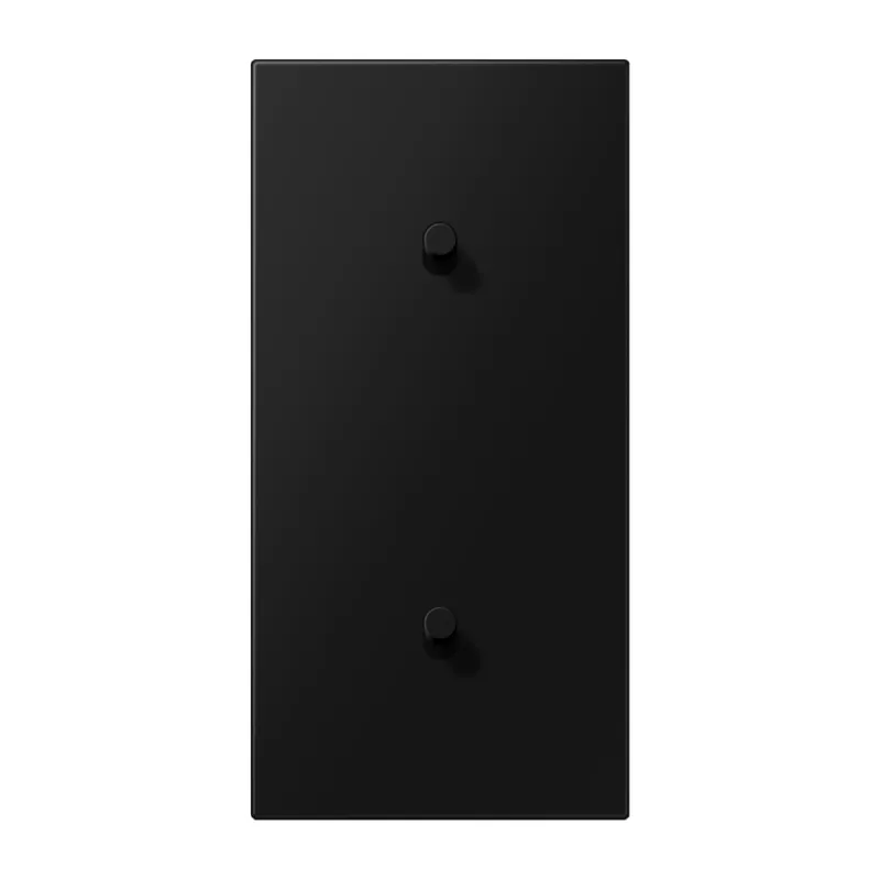 Jung Abdeckung mit Kipphebel, Zylinder, 2fach, 2 x 1 Kipphebel, senkrecht, Serie LS 1912, graphitschwarz matt (lackiertes Aluminium) AL12-20SWMR08