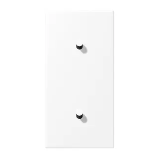 Jung Abdeckung mit Kipphebel, Kegel, 2fach, 2 x 1 Kipphebel, senkrecht, Serie LS 1912, schneeweiß matt (lackiertes Aluminium) AL12-20WWMK07