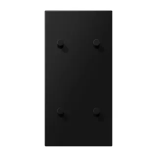 Jung Abdeckung mit Kipphebel, Kegel, 2fach, 2 x 2 Kipphebel, senkrecht, Serie LS 1912, graphitschwarz matt (lackiertes Aluminium) AL12-25SWMK08
