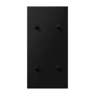 Jung Abdeckung mit Kipphebel, Zylinder, 2fach, 2 x 2 Kipphebel, senkrecht, Serie LS 1912, graphitschwarz matt (lackiertes Aluminium) AL12-25SWMR08