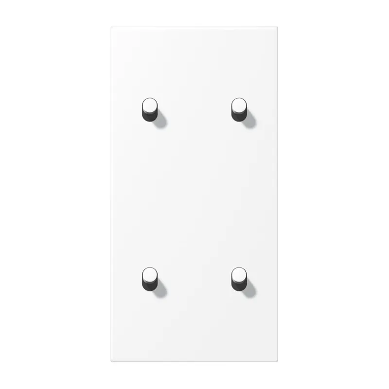 Jung Abdeckung mit Kipphebel, Zylinder, 2fach, 2 x 2 Kipphebel, senkrecht, Serie LS 1912, schneeweiß matt (lackiertes Aluminium) AL12-25WWMR07