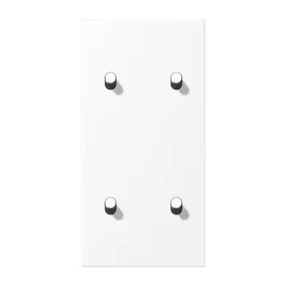 Jung Abdeckung mit Kipphebel, Zylinder, 2fach, 2 x 2 Kipphebel, senkrecht, Serie LS 1912, schneeweiß matt (lackiertes Aluminium) AL12-25WWMR07