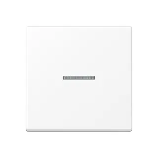 Jung KNX RF Taster 1fach, Thermoplast lackiert, Serie A, schneeweiß matt A10911STRFBFWWM