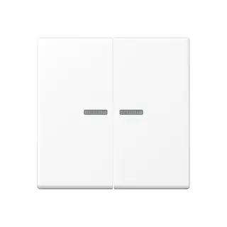 Jung KNX RF Taster 2fach, Thermoplast lackiert, Serie A, schneeweiß matt A10921STRFBFWWM