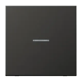 Jung KNX RF Taster 1fach, neutral, Aluminium lackiert, Serie LS, anthrazit (lackiertes Aluminium) AL10911STRFAN