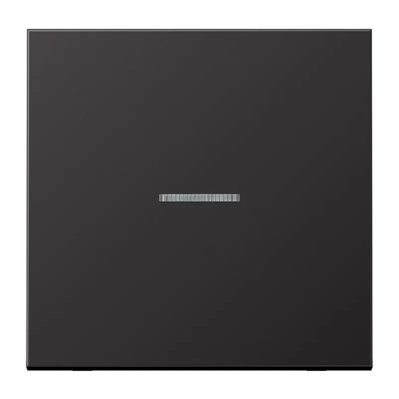 Jung HOME Taster 1fach, Aluminium lackiert, Serie LS, dark (lackiertes Aluminium) BTAL17101D