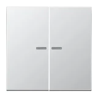 Jung KNX RF Taster 2fach, Aluminium AlMg1 Naturton, mattgebeizt, Serie LS, Aluminium AL10921STRF