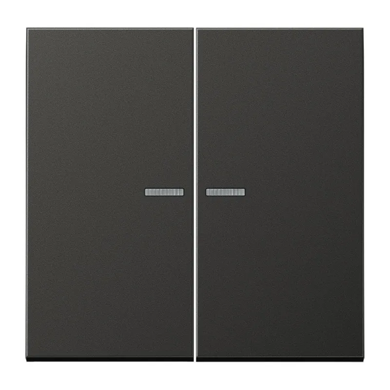 Jung HOME Taster 2fach, Aluminium lackiert, Serie LS, anthrazit (lackiertes Aluminium) BTAL17102AN
