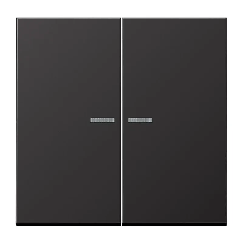 Jung HOME Taster 2fach, Aluminium lackiert, Serie LS, dark (lackiertes Aluminium) BTAL17102D