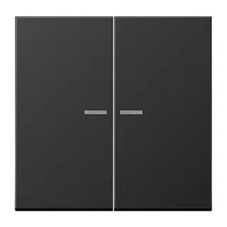 Jung KNX RF Taster 2fach, Aluminium lackiert, Serie LS, dark (lackiertes Aluminium) AL10921STRFD