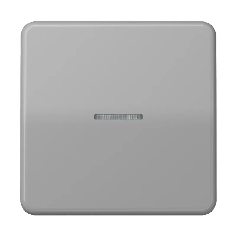 Jung HOME Taster 1fach, Duroplast, Serie CD, grau BTCD17101GR