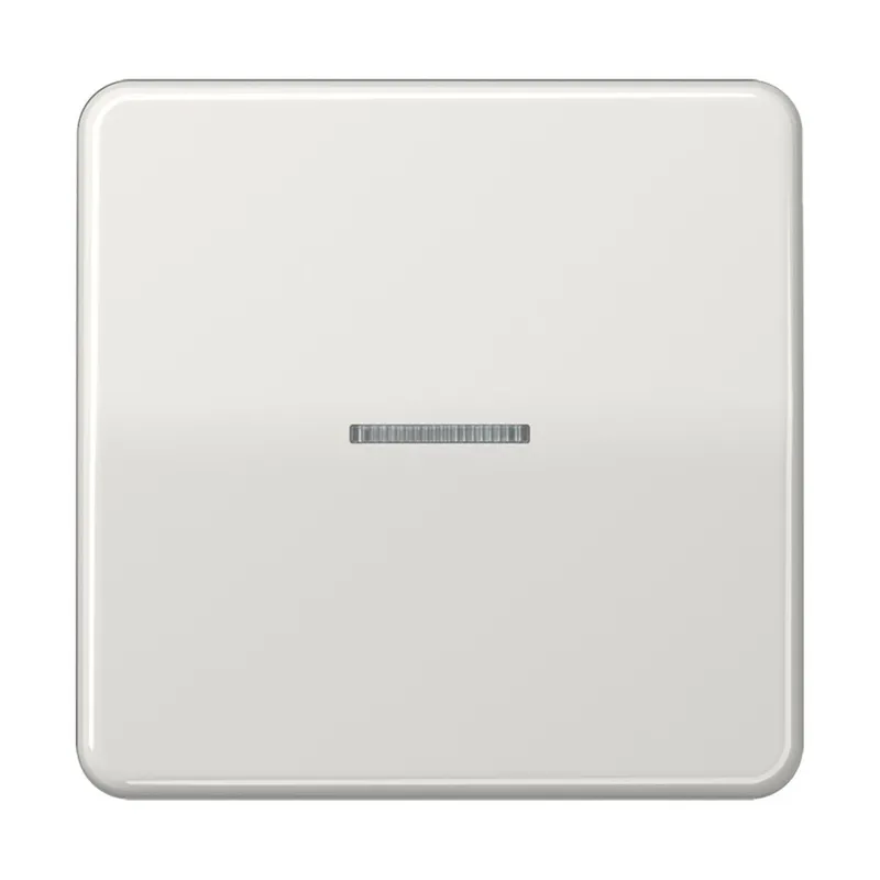 Jung KNX RF Taster 1fach, Duroplast, Serie CD, lichtgrau CD10911STRFLG