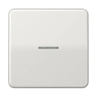 Jung KNX RF Taster 1fach, Duroplast, Serie CD, lichtgrau CD10911STRFLG