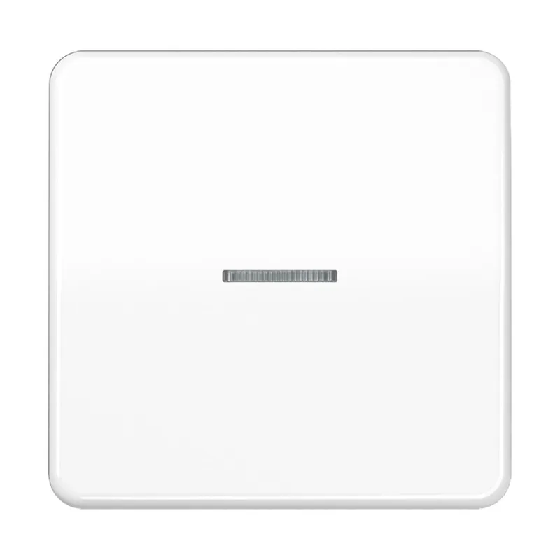 Jung HOME Taster 1fach, Duroplast, Serie CD, alpinweiß BTCD17101WW