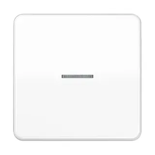 Jung KNX RF Taster 1fach, Duroplast, Serie CD, alpinweiß CD10911STRFWW