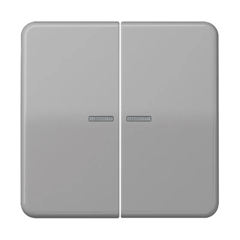 Jung HOME Taster 2fach, Duroplast, Serie CD, grau BTCD17102GR