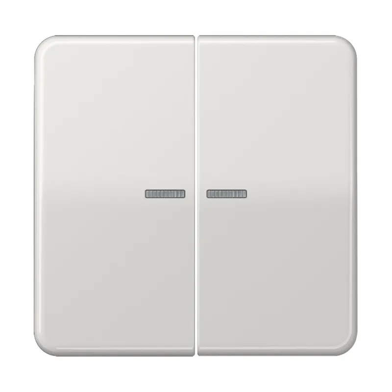 Jung HOME Taster 2fach, Duroplast, Serie CD, lichtgrau BTCD17102LG