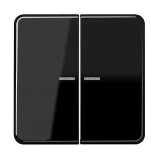 Jung KNX RF Taster 2fach, Duroplast, Serie CD, schwarz CD10921STRFSW
