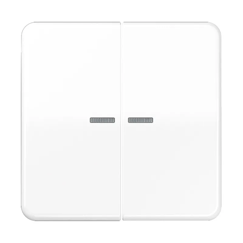Jung HOME Taster 2fach, Duroplast, Serie CD, alpinweiß BTCD17102WW