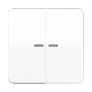 Jung KNX RF Taster 2fach, Duroplast, Serie CD, alpinweiß CD10921STRFWW