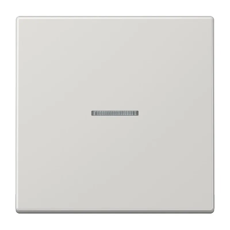 Jung HOME Taster 1fach, Duroplast, Serie LS, lichtgrau BTLS17101LG