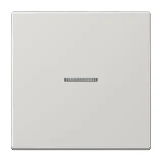 Jung KNX RF Taster 1fach, Duroplast, Serie LS, lichtgrau LS10911STRFLG
