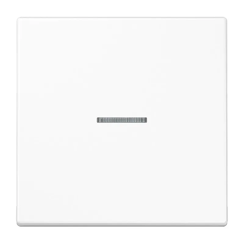 Jung Wippe 1fach mit Lichtleiter, Duroplast antimikrobiell, Serie LS, alpinweiß SPLS990KO5WW