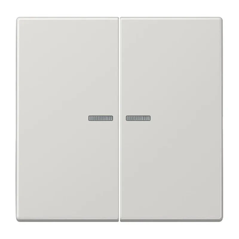 Jung HOME Taster 2fach, Duroplast, Serie LS, lichtgrau BTLS17102LG