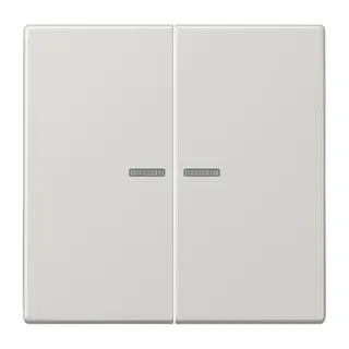 Jung KNX RF Taster 2fach, Duroplast, Serie LS, lichtgrau LS10921STRFLG