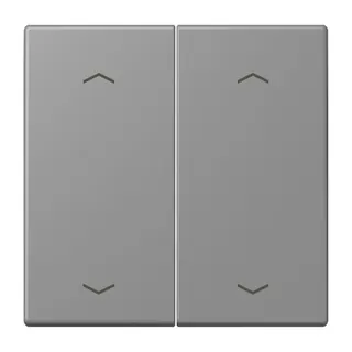 Jung Wippe, mit Pfeilsymbolen für Taster 2fach, Serie LS, gris 31 LC102P203