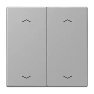 Jung Wippe, mit Pfeilsymbolen für Taster 2fach, Serie LS, gris moyen LC102P204