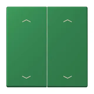 Jung Wippe, mit Pfeilsymbolen für Taster 2fach, Serie LS, vert foncé LC102P219