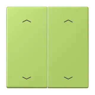 Jung Wippe, mit Pfeilsymbolen für Taster 2fach, Serie LS, vert clair LC102P221
