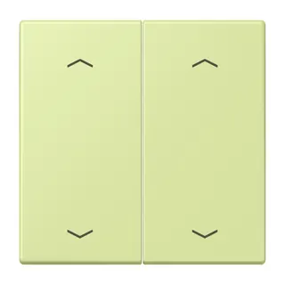 Jung Wippe, mit Pfeilsymbolen für Taster 2fach, Serie LS, vert jaune clair LC102P222