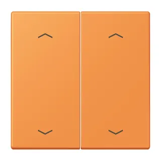 Jung Wippe, mit Pfeilsymbolen für Taster 2fach, Serie LS, orange clair LC102P225