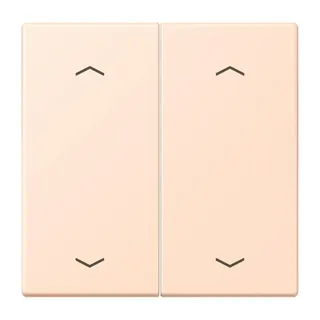 Jung Wippe, mit Pfeilsymbolen für Taster 2fach, Serie LS, rose pâle LC102P228