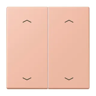 Jung Wippe, mit Pfeilsymbolen für Taster 2fach, Serie LS, rose clair LC102P231