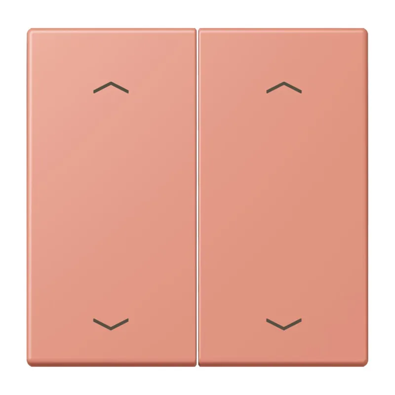 Jung Wippe, mit Pfeilsymbolen für Taster 2fach, Serie LS, l'ocre rouge moyen LC102P233