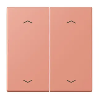 Jung Wippe, mit Pfeilsymbolen für Taster 2fach, Serie LS, l'ocre rouge moyen LC102P233