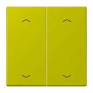 Jung Wippe, mit Pfeilsymbolen für Taster 2fach, Serie LS, vert olive vif LC102P249